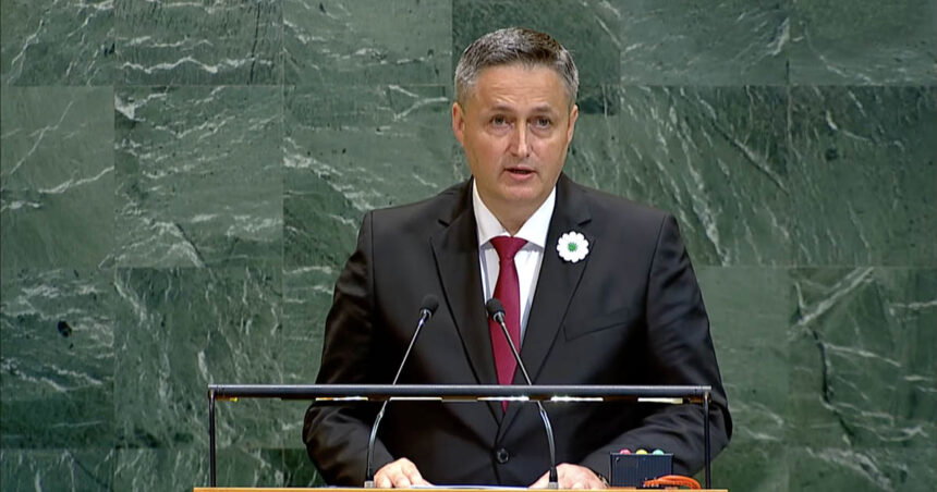 Denis Bećirović