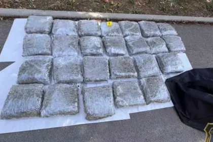U akciji FUP-a pronađeno 33 kilograma cannabisa i 1,5 kilogram speeda