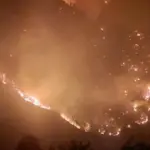 požar rujište