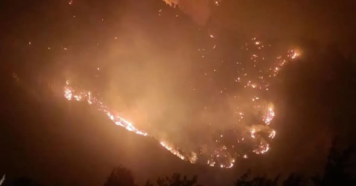 Duga požarna linija u Hercegovini guta sve pred sobom. Borba s vatrom trajala cijelu noć
