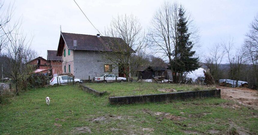 Zecovi
