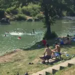 zelenac vrbanja zeleni vir