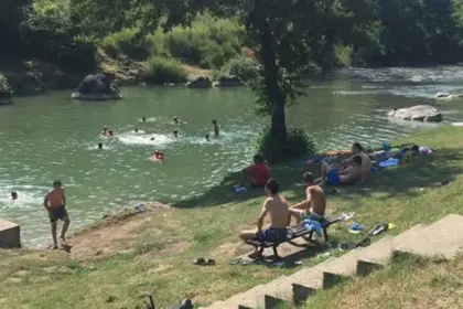 zelenac vrbanja zeleni vir