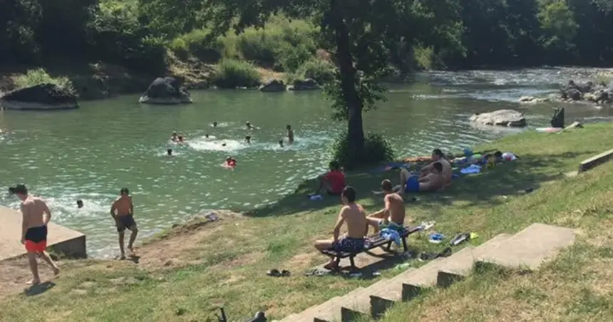 zelenac vrbanja zeleni vir
