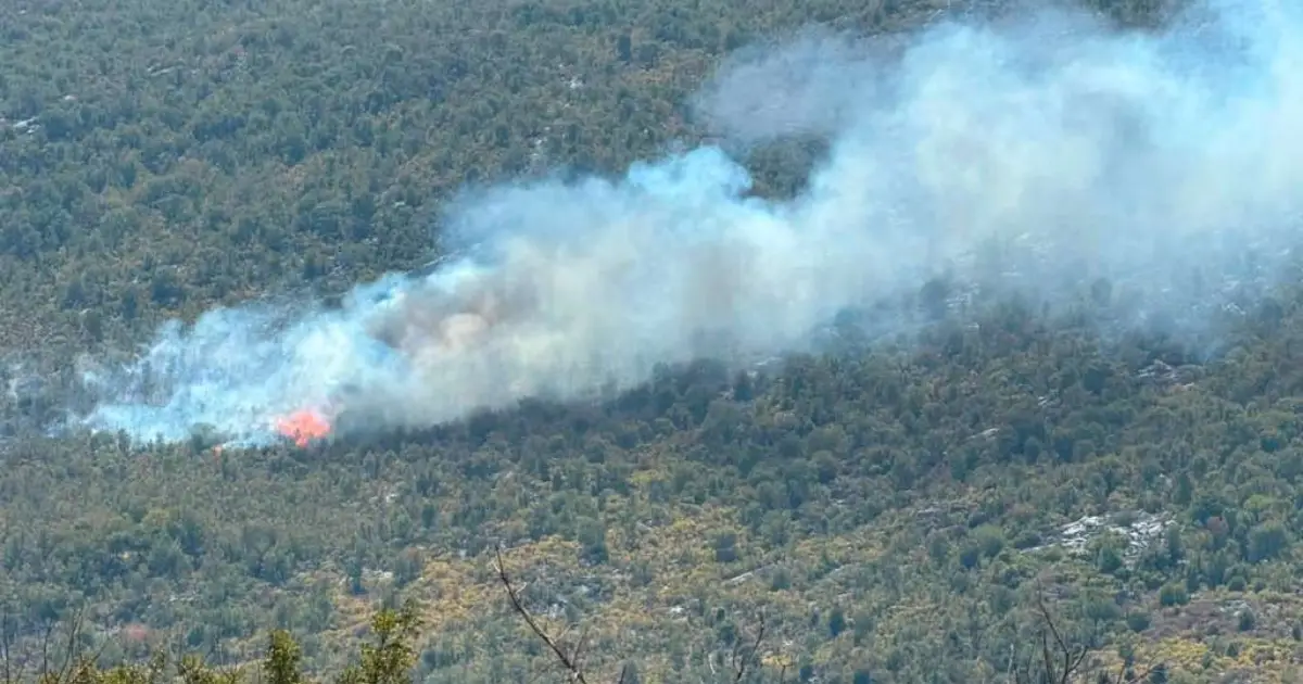 Požar na lokalitetu Pauč ponovo se rasplamsao