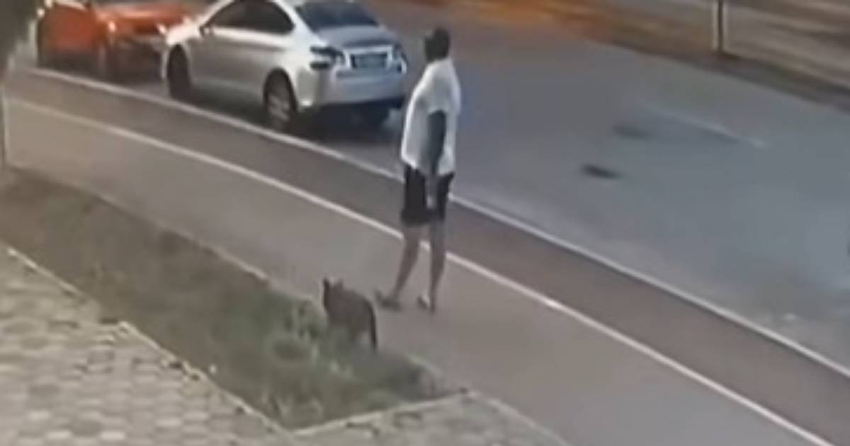 Objavljen ključni snimak pokušaja ubistva Dabića u Istočnom Sarajevu: Šta su snimile kamere