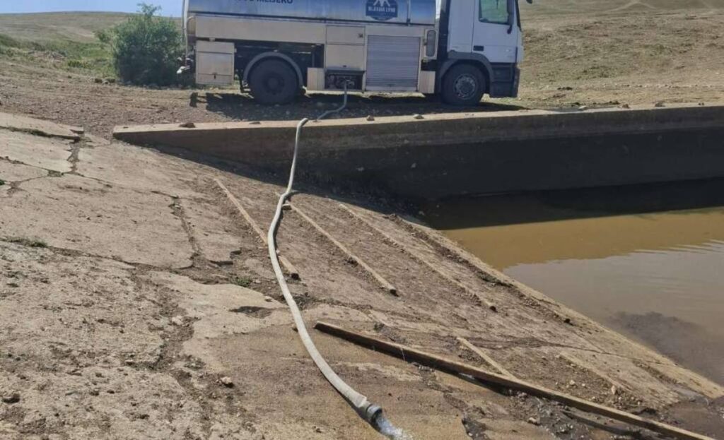 divlji konji voda livno