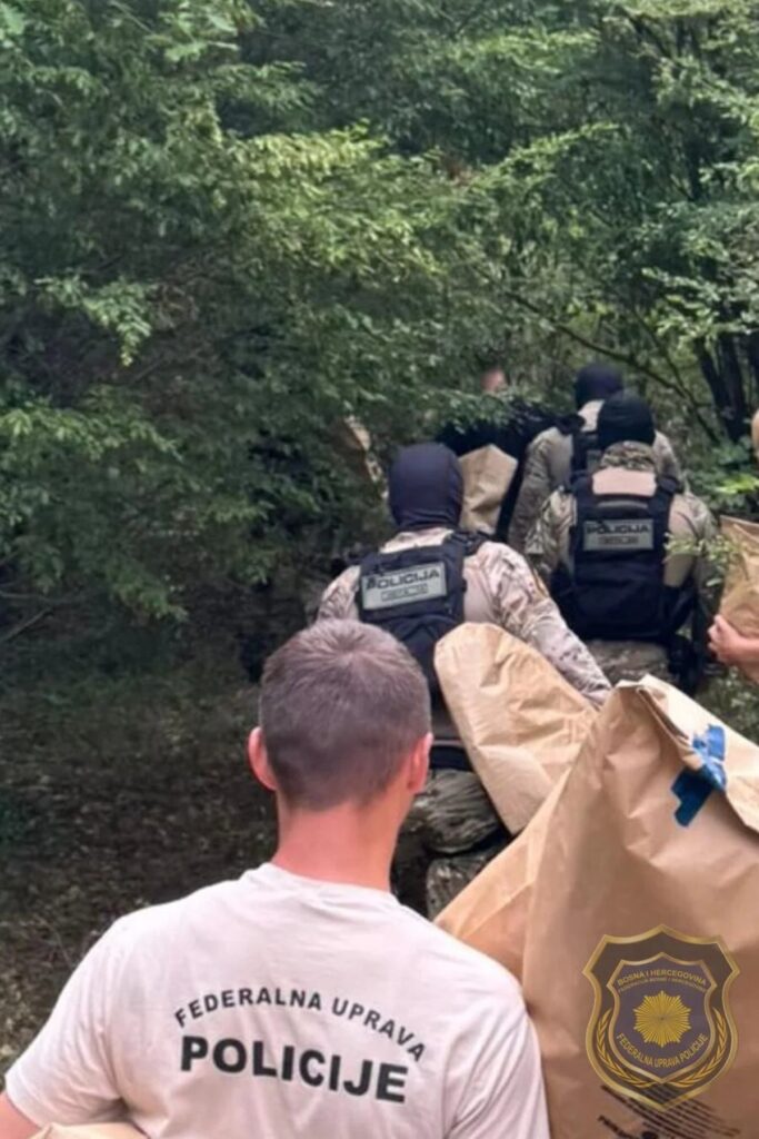 FUP pronašao plantažu marihuane i dvojicu muškaraca kako je obrađuju FUP pronašao plantažu marihuane i dvojicu muškaraca kako je obrađuju