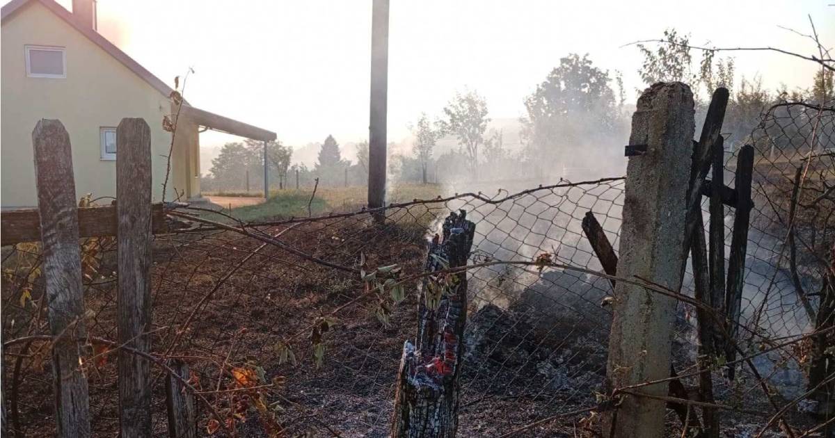 Gorjeli kuća, štala, šuma i plantaža lješnjaka: Uhapšen vlasnik s 3,72 promila alkohola