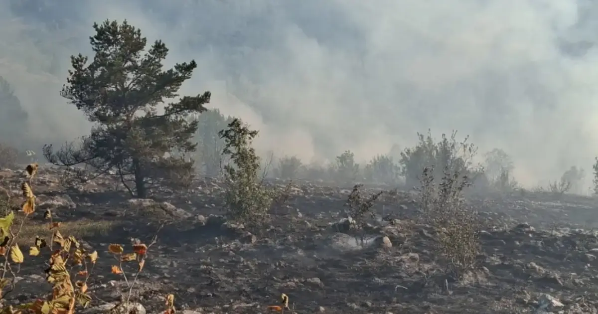 Vatrogasci objavili fotografije požara na Trebeviću. Borba s vatrom trajala tokom cijele noći